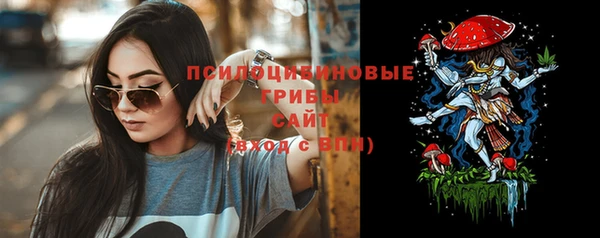 mdpv Тавда