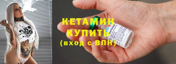 трава Сясьстрой