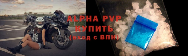 трава Сясьстрой