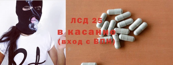 трава Сясьстрой