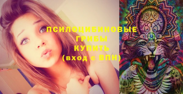 mdpv Тавда