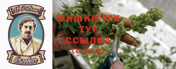 трава Сясьстрой